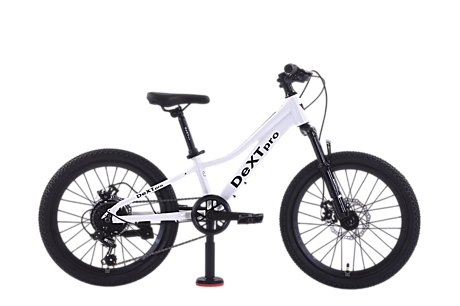 20 DeXTpro