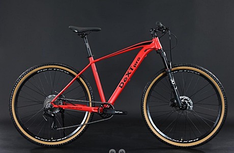 29 DeXTpro